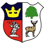 Cinderford Town crest