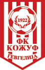 FK Kozuv Gevgelija crest
