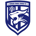 Wuhan Three Towns logo