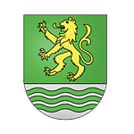 Paradiso logo